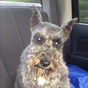 Meet your Posher, Susan